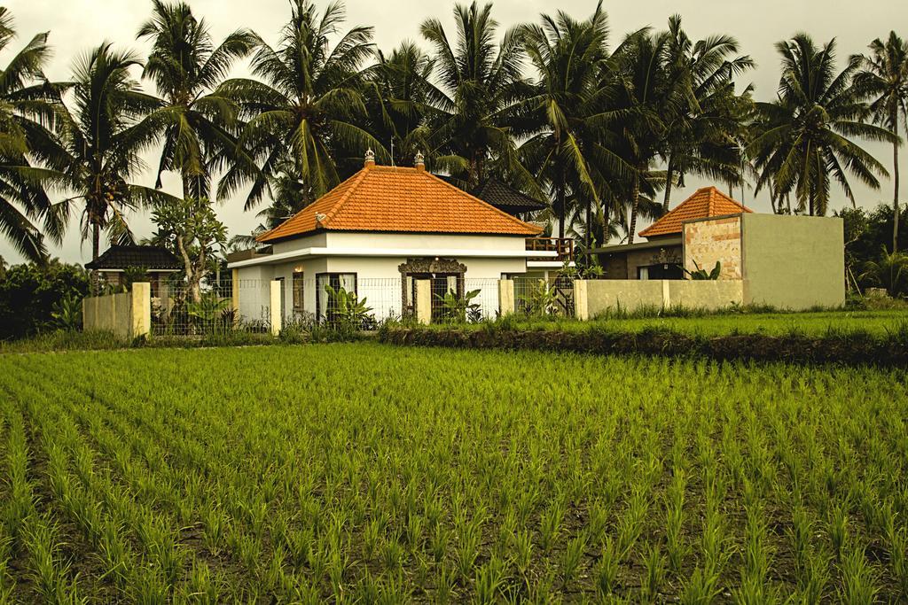 Ubud Lestari Villa Dış mekan fotoğraf